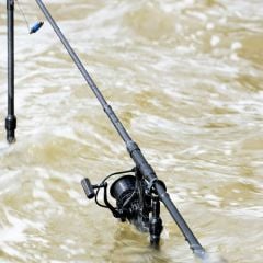 NASH DWARF 10FT 3.00 LB